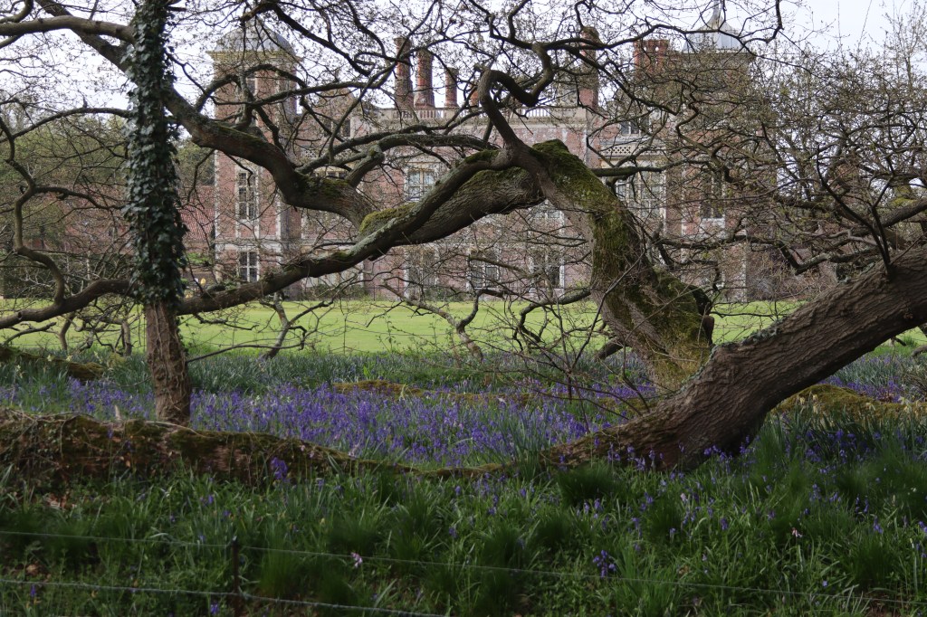 Photograph of the stonework, chimneys and windows of Blickling Hall