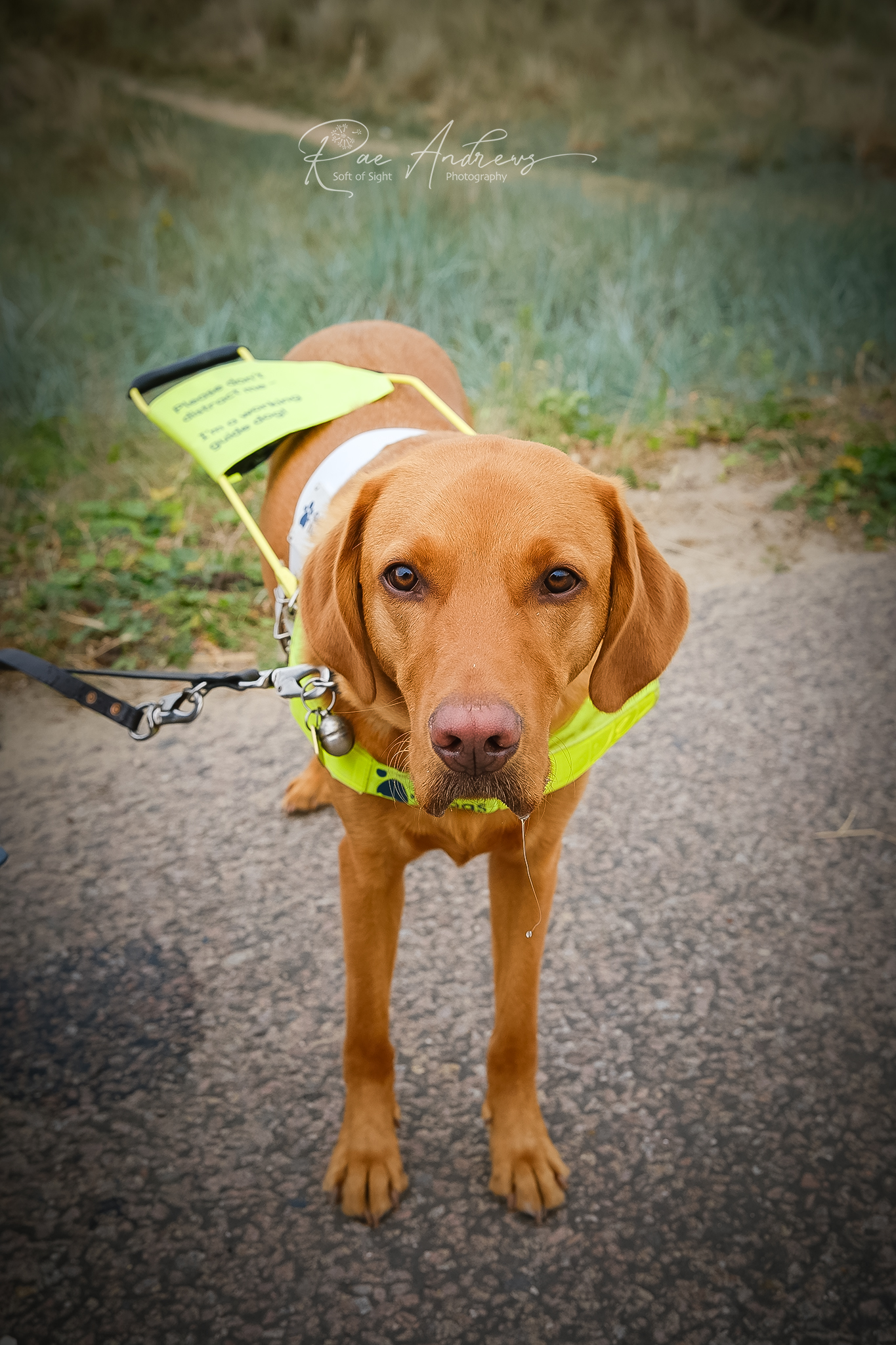 Butter Wouldn’t Melt&nbsp;…