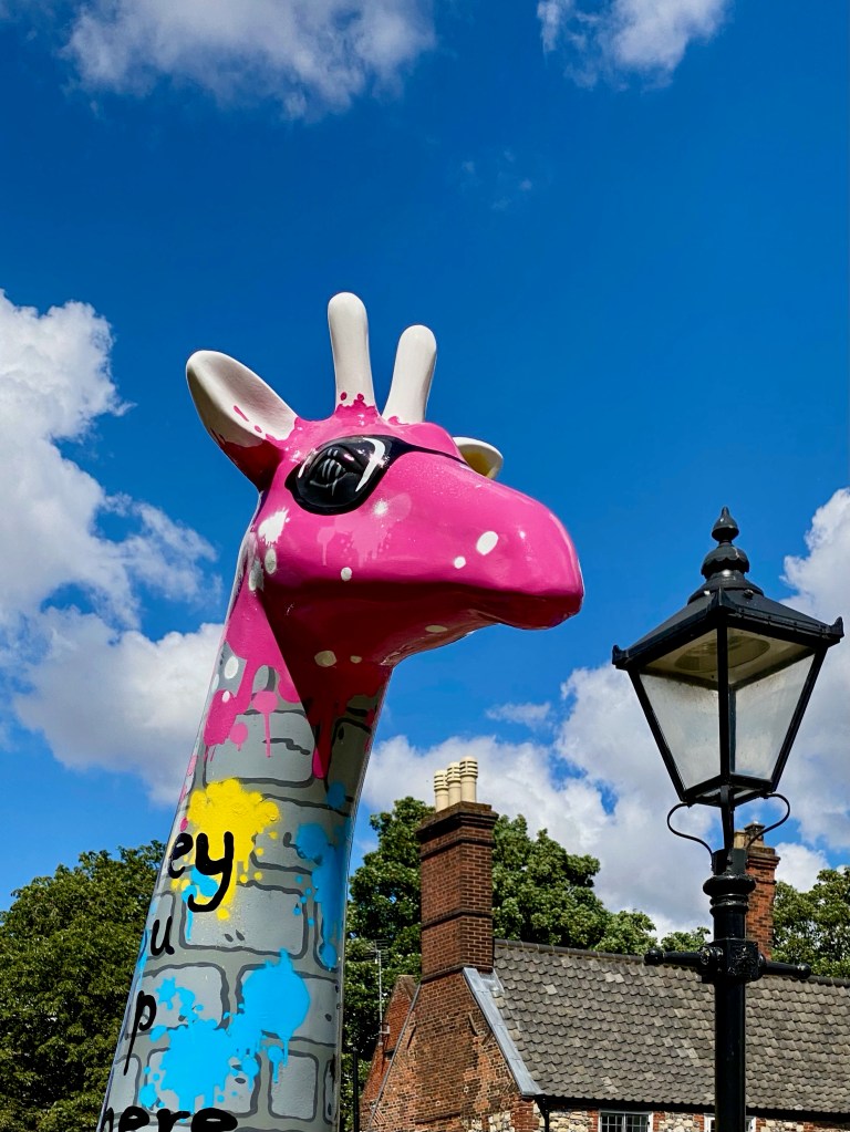 Photograph is a close up of the giraffe’s head and neck, painted hot pink with sunglasses and white spots.