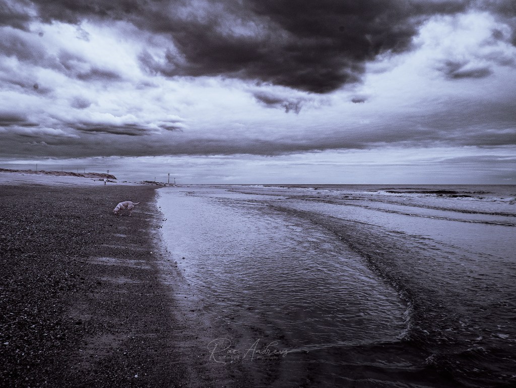 Caister beach on a cloudy day, looking along the shoreline, in infrared.