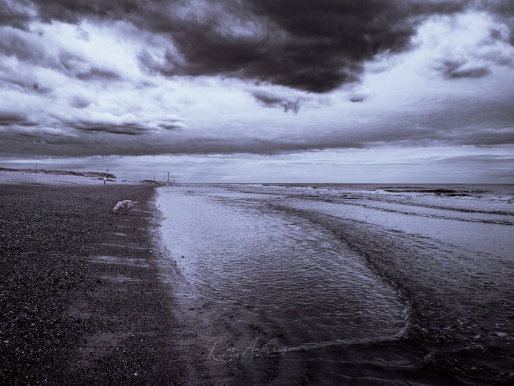Caister beach on a cloudy day, looking along the shoreline, in infrared.