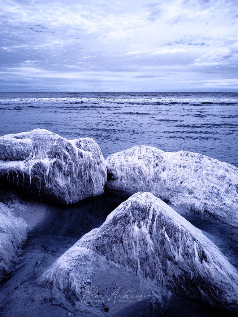 Several large rocks on the shoreline, in infrared