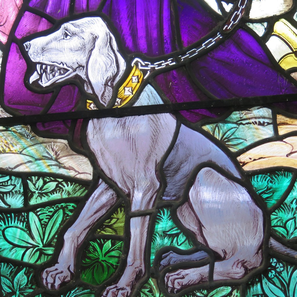 Photograph of grey dog in a golden chained collar.
