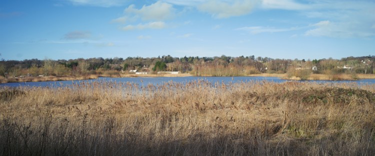 A widescreen shot across winter marshland, with a large expanse of blue water and sparse houses on the far side.
